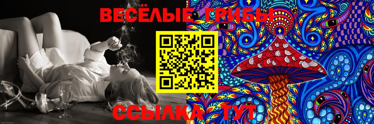 Соликамск  купить наркотик  Вход с VPN  Псилоцибиновые грибы Magic Shrooms 