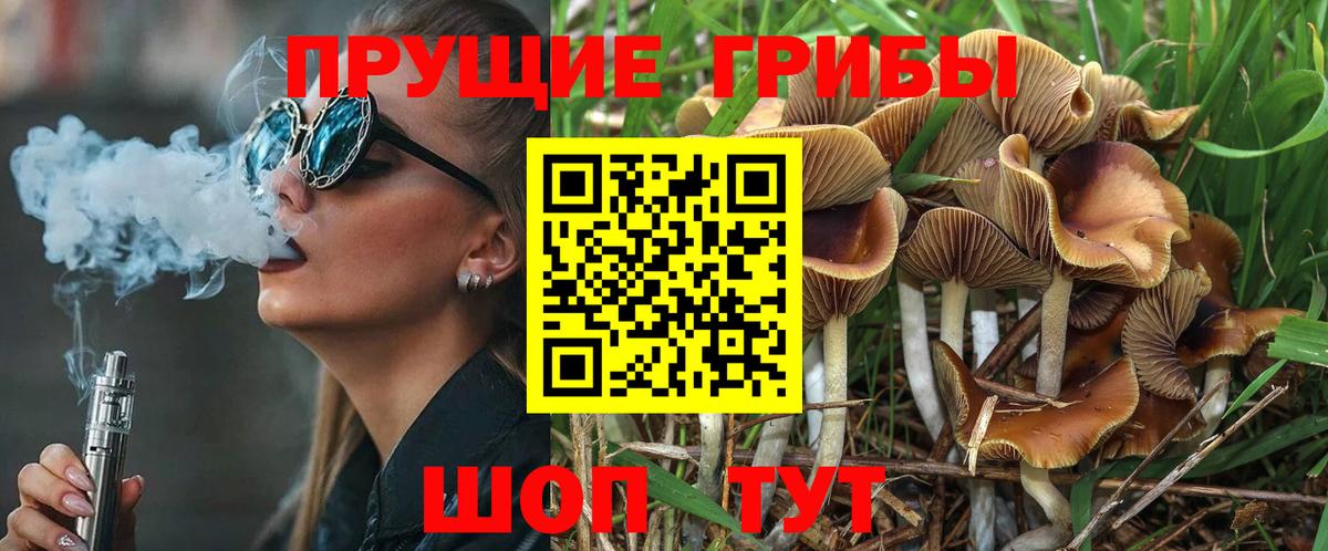 Псилоцибиновые грибы Magic Shrooms Соликамск